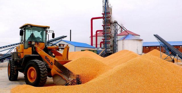 腾讯 “刹车”失灵！玉米继续跌，稻麦“有变”，大豆跌3毛，粮价咋了