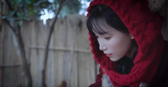 李湘|李子柒发中国年味视频，受外国粉丝热捧，标题用心再次打脸韩国