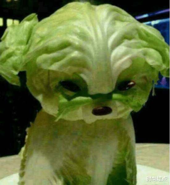 租到隔音效果很差的房子,是种啥体验啊?