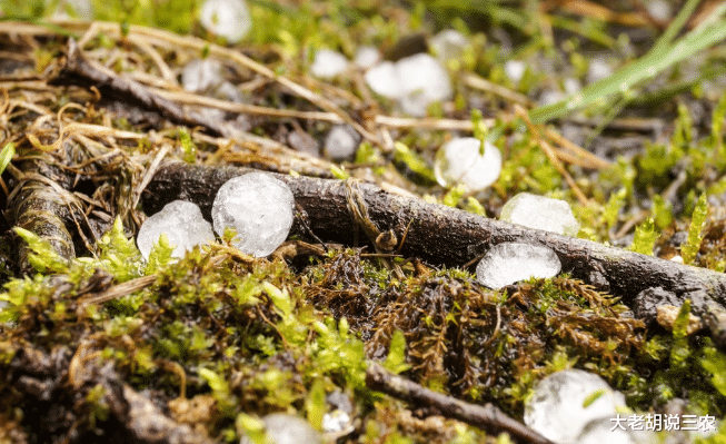 大老胡说三农 匪夷所思：下冰雹时，有些老农为啥要向院子里扔菜刀？