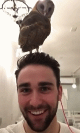 魔王樊|房顶上面看到“干尸”，研究许久，仍不知是何生物？