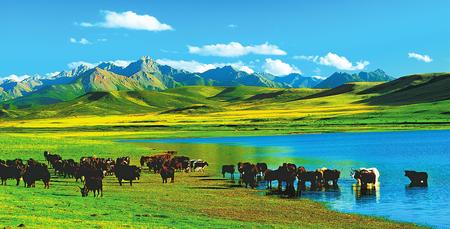 香山文艺 甘肃天水郑万明组诗:  给人间送去秋凉的消息