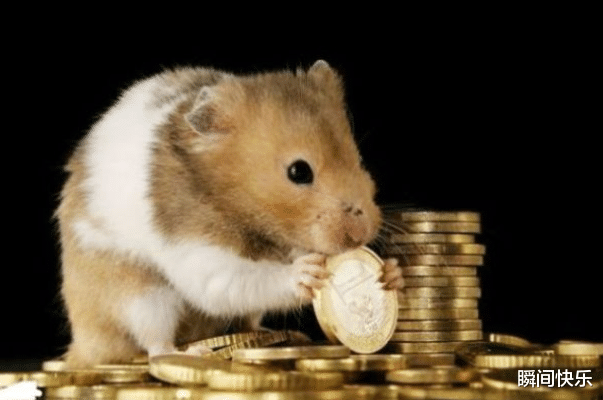 瞬间快乐|属鼠的人生在几月，2021年机遇降临，勇往直前，工作一帆风顺