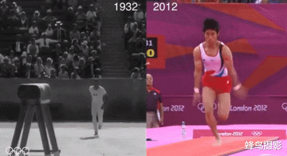 海豹 44张活久未见的照片，驴居然叼着一只狼，大白鲨撞飞海豹跃出水面捕食