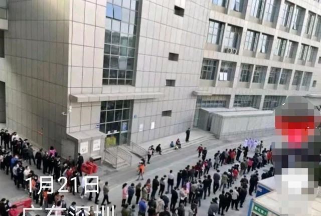 小语喵咪 深圳多家医院一号难求,“万水千山总是情,一年不回都不行”!