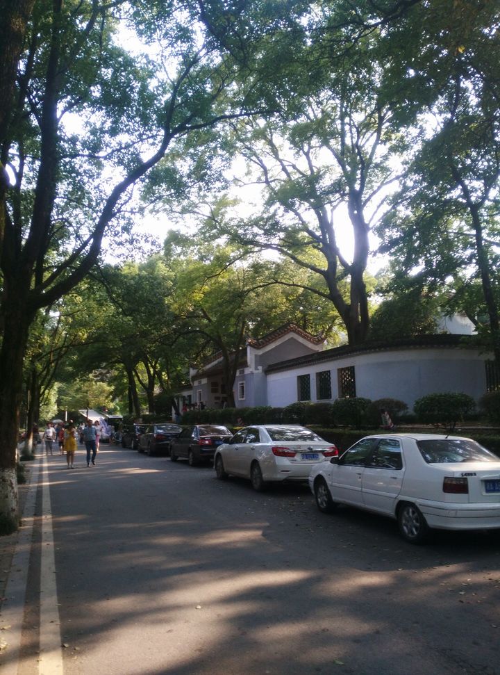 独迷 如何看待长沙成为五一网红城市？