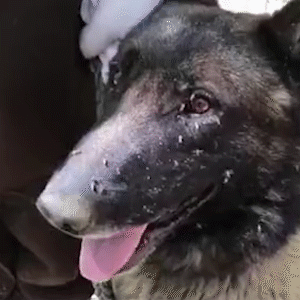 电影|郑爽被封杀半年后，娱乐圈又爆猛料：为拍电影竟害死一条命，他早该滚了！