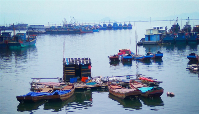 育儿心课堂|小县城被赞广东“粤首第一县”，坐拥“粤东黄金海岸”，未来可期