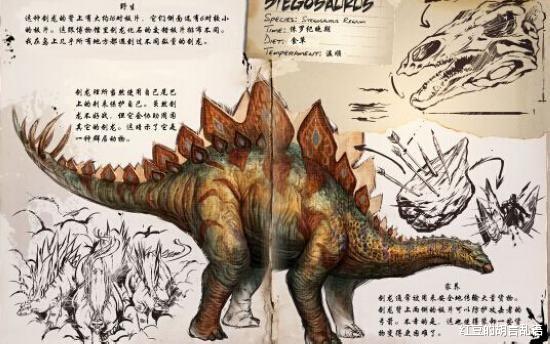 异特龙 剑龙告诉你关键时刻，一个脑子根本不够用。