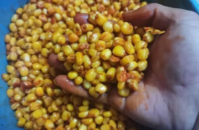 百哥曰|水面太大、水域太深不好钓鱼？找好钓点、选好窝料是关键