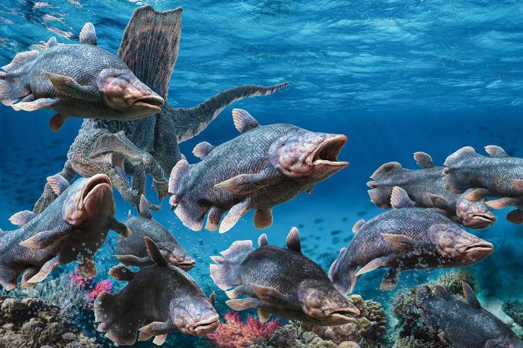 警察 肉鳍鱼：人类最该感谢的鱼，3.6亿年前的某天，它决定登上陆地