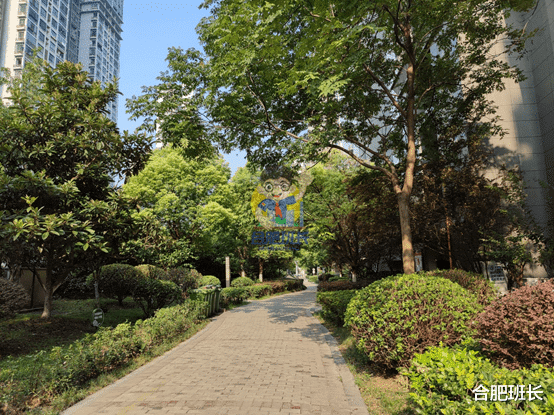 |滨湖二手房天花板，实探46和师范附小双本部的书香门第！