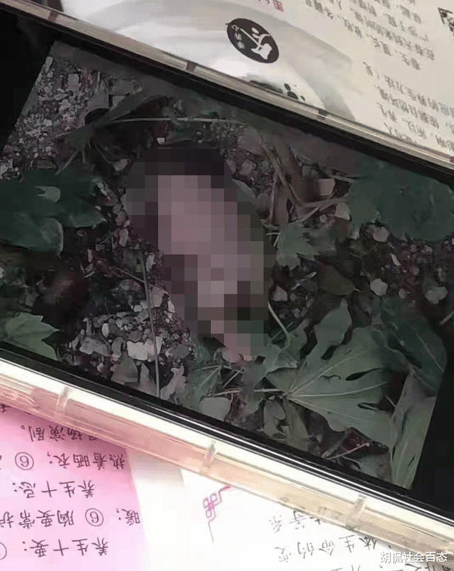 安徽淮北职业技术学院发现弃婴，孩子嘴被堵住，从楼上扔下
