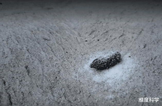 免疫细胞 不小心误食水蛭会怎么样?它会在我们体内存活吗?