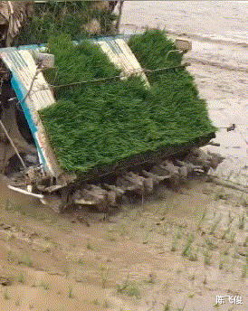 王者荣耀|删头像碰巧找到了以前的王者荣耀了