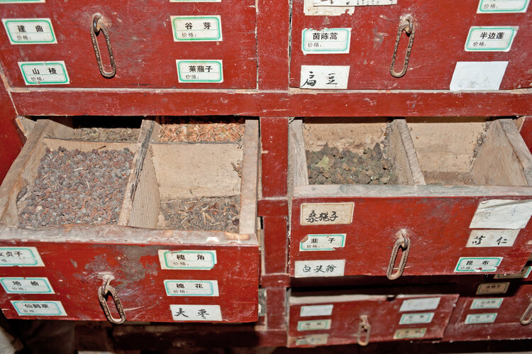 中药|中药又立功？青蒿素16小时内就能杀死癌细胞，是真的吗？