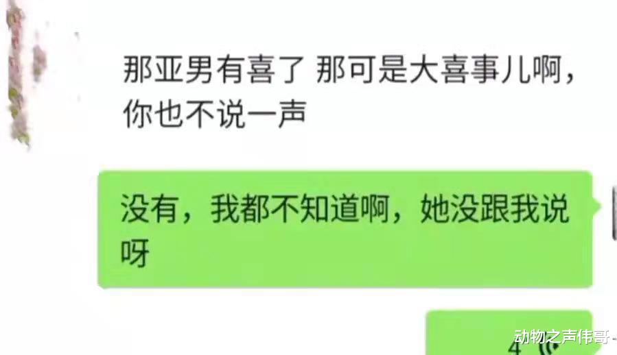 蒋南孙|陈亚男居然怀孕三个月？娘家人努力证明清白，大衣哥明确给出答案
