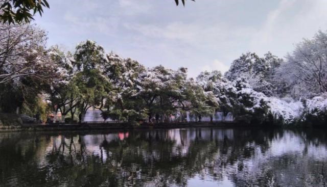 情话十点 四川一大型公园火了，占地200亩，毗邻江北机场，地铁3号线可抵达