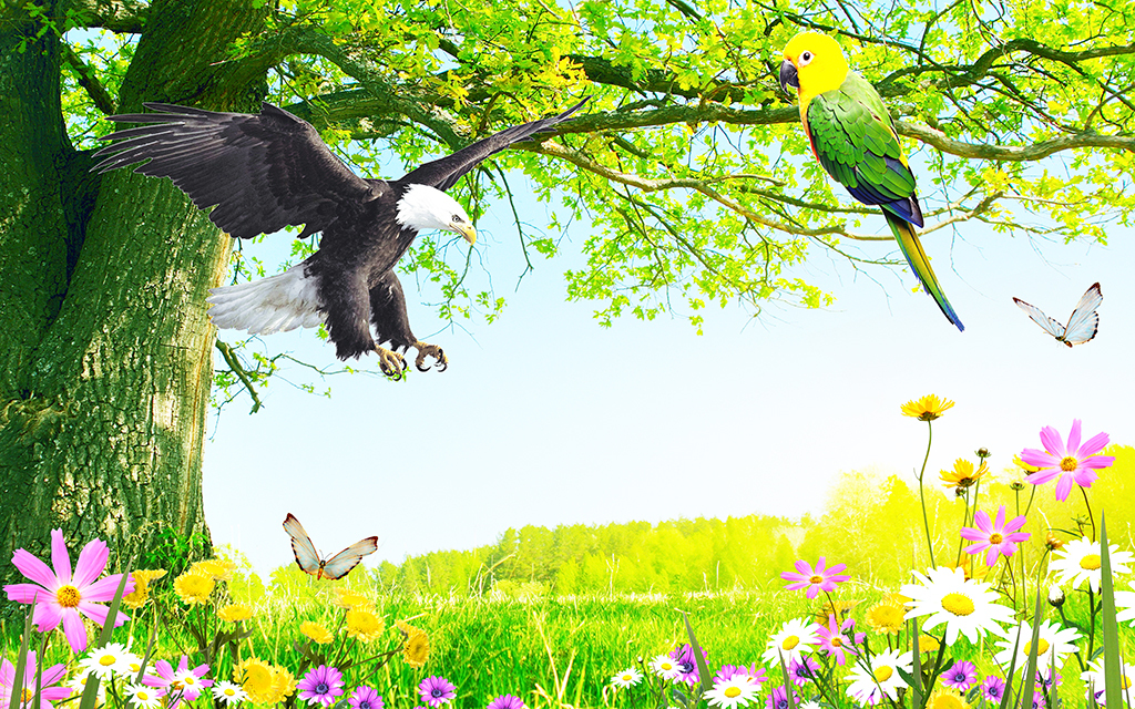 遇见小媛 想要翻身，一定要改掉四个让你穷一辈子的坏毛病