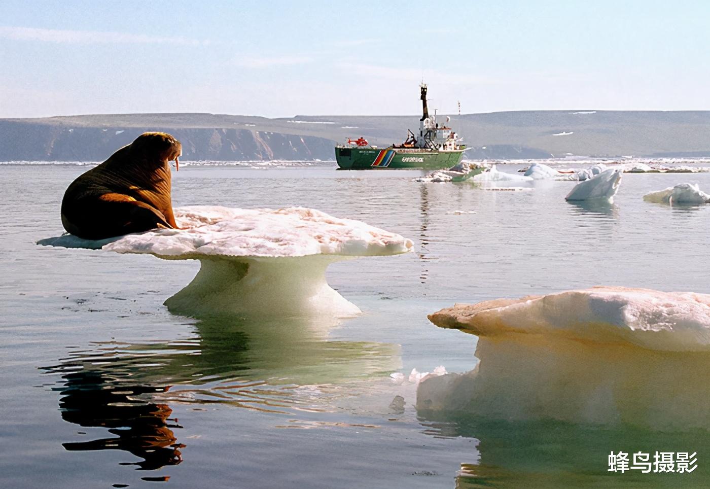  40张罕见“不科学”的照片，蜘蛛丝能吊起大冰坨，蜘蛛侠没骗人