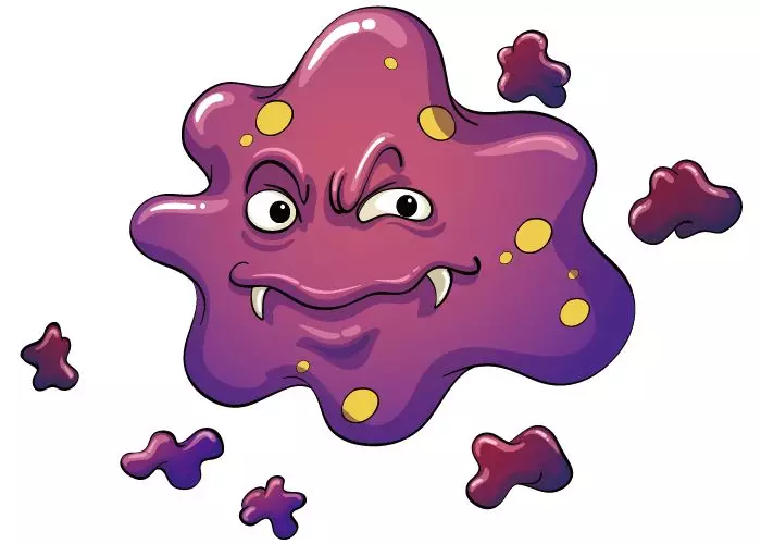 陈智勇|黄精入脾肺肾三经，日常的功效和作用主要是哪些呢？