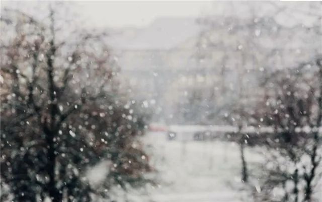 陪读时间 鲁迅：雪，经典散文