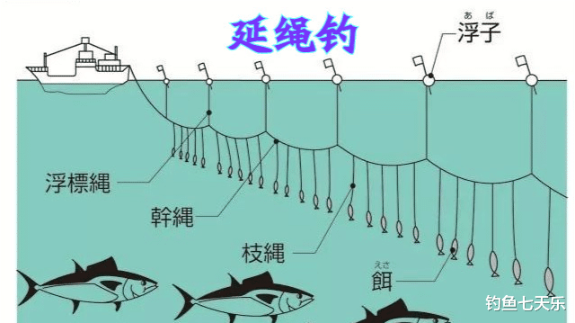 |12月1日起，长江流域重点水域四类钓具将被禁止使用