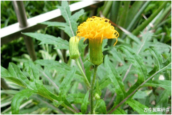 肝脏|31岁男子健身猝死！高血压患者要警惕，血压高，这2件事少做