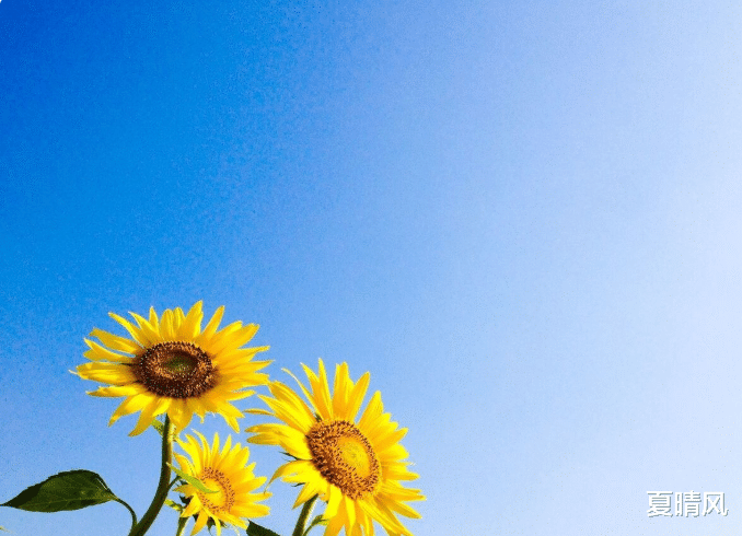 夏晴风 长期不换微信头像的人,有这三种,最后一种最值得深交