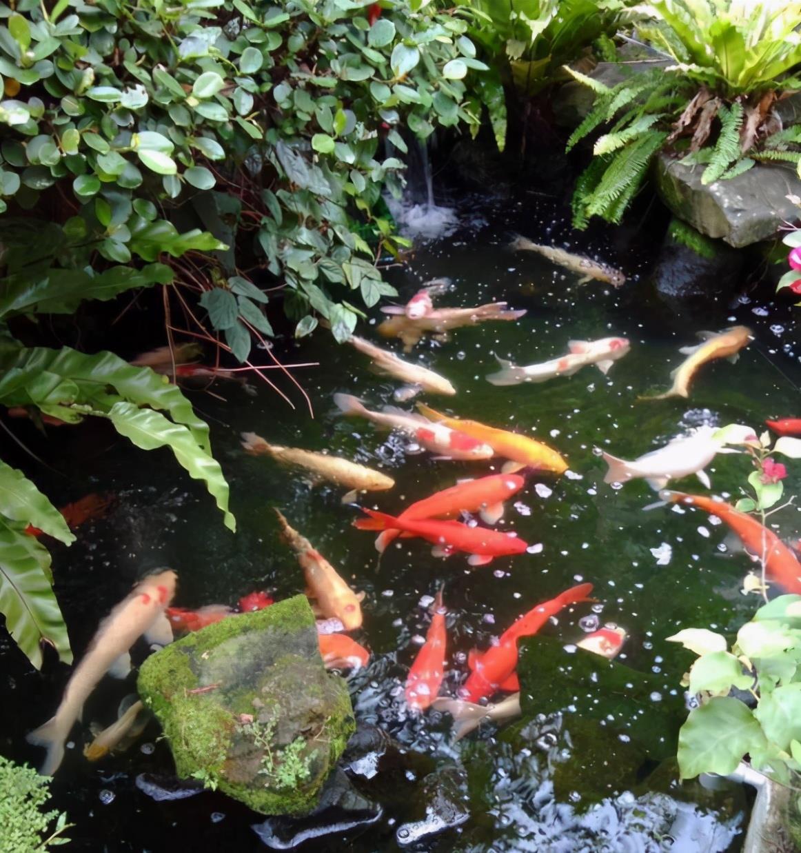 琼瑶|琼瑶迎来83岁大寿!相貌年轻像60出头,意外曝光25亿豪宅