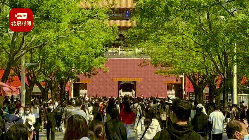 案件通报|预警！人人人人人