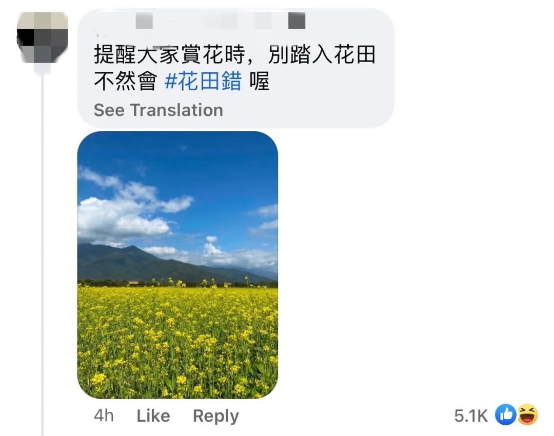 王力宏|认输道歉！王力宏宣布退圈！网友给他“改作文”：惨不忍睹！