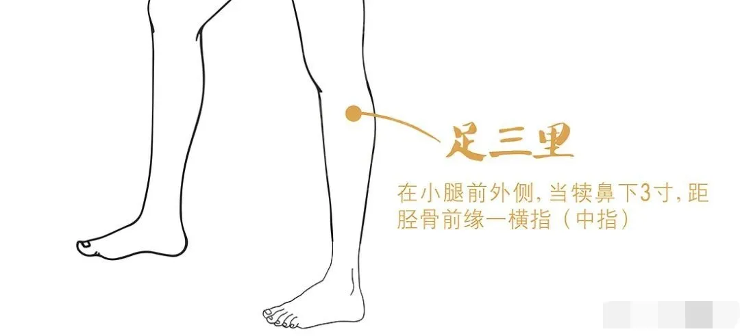 吕中医说 身体自带7大的”补阳穴”，为身体加油！