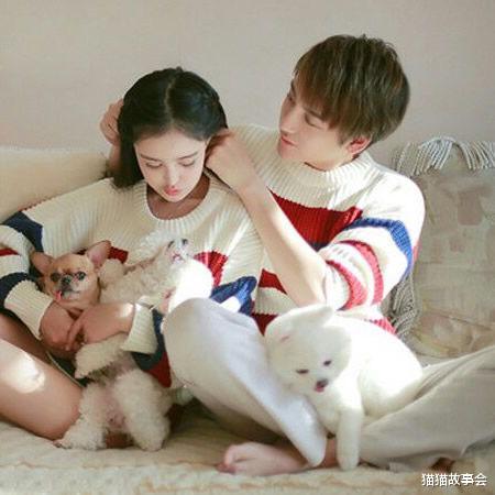 猫猫故事会|都怀孕了，还要什么彩礼，陪嫁婚房结婚吧！凤凰男被退婚