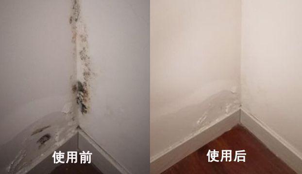 到姑姑家里做客，看到她家的布置，才明白什么叫做“干干净净”