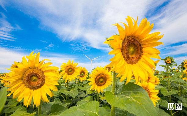 清镇|4天内，痛苦难忍，日子惬意，不舍前情，高人指路，发大财