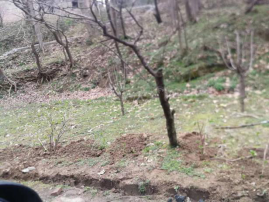 新报业传媒 【5A创建】鸡公山创建国家5A级旅游景区工作纪实（三）