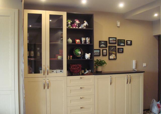 媳妇花5万定制几十个柜子，连沙发墙都不放过，这效果猜你没见过