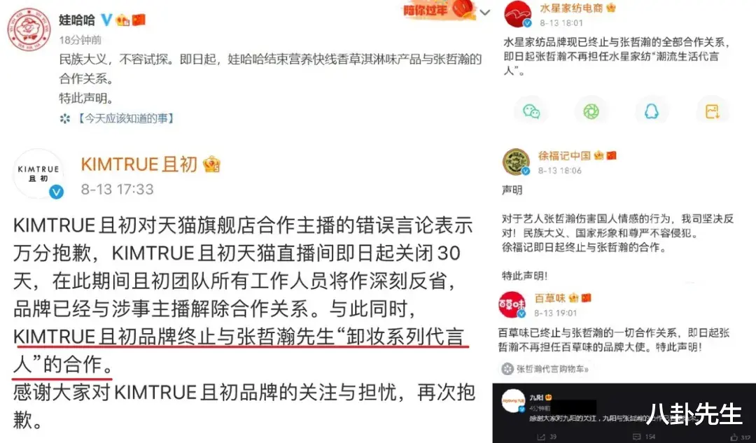 张哲瀚|张哲瀚事件后续：5部作品受影响，王一博吴谨言被连累，代言全掉