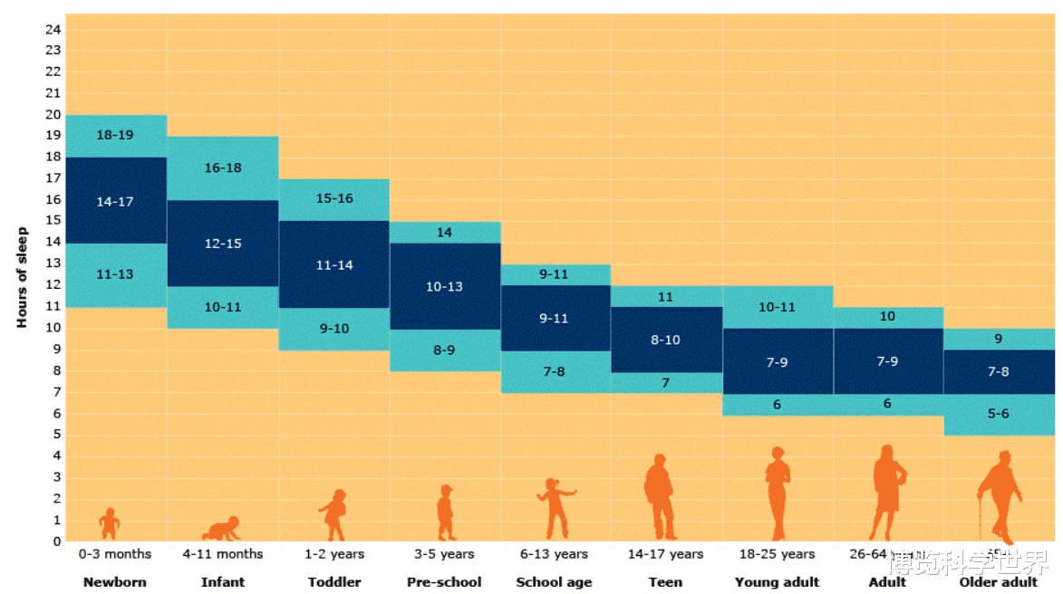 睡眠背后有何科学道理?如何保持科学作息时间?