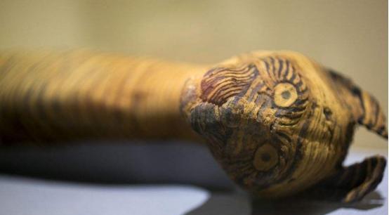 活生生就被制成木乃伊！扫描木乃伊的结构后，才发现真相有多残忍