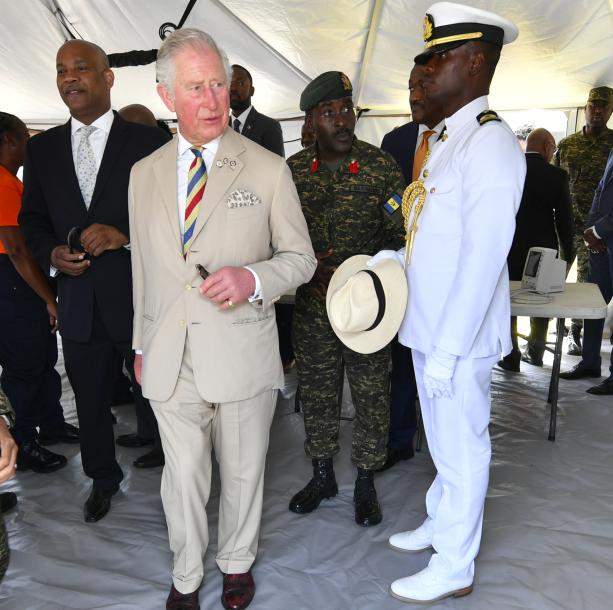 美国|哈里梅根像落灰豆腐，打不得骂不得；查尔斯有理说不清真头疼