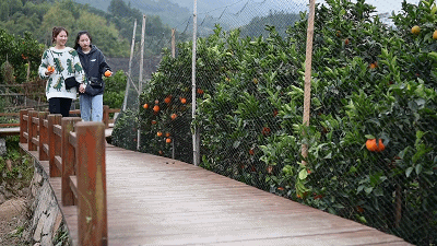 橙子味的岳秀生活日记