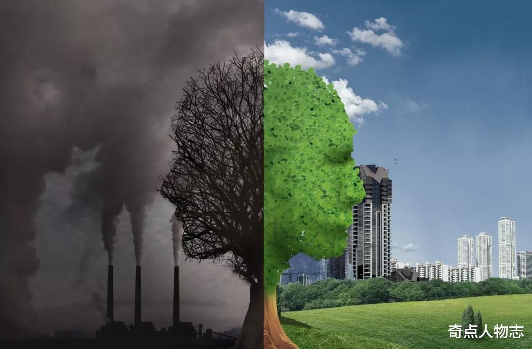 碳交易 蚂蚁森林只做公益？错了，现在已是万亿级的生意，你也在帮它赚钱