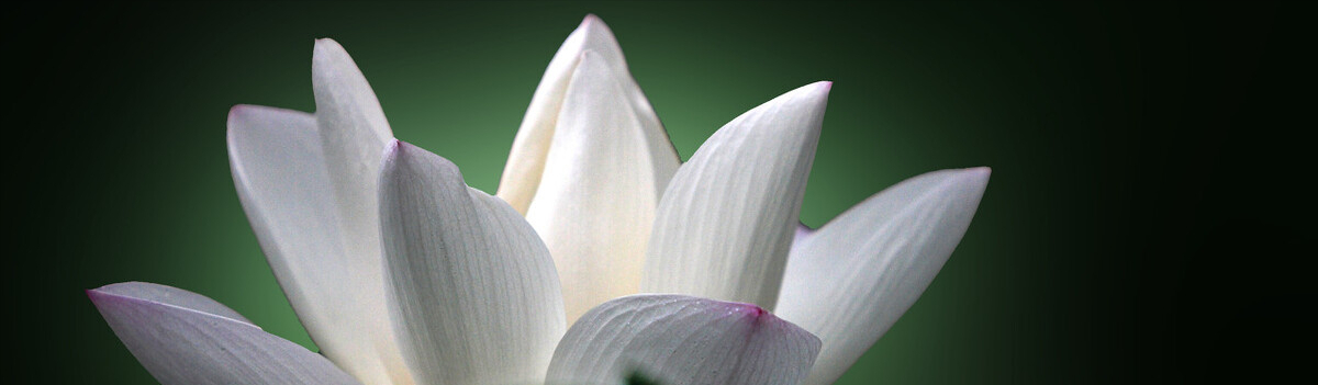  其实死亡并不是生命的终结，生命只是一个过程