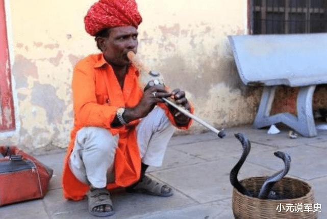 印度 人蛇互咬！印度男子被蛇咬，气不过反咬蛇，第二天已凉透