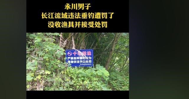 饵料|男子在长江“十年禁渔”警示语下钓鱼被罚,网友:“顶风作案”?