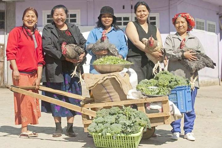 胡思乱想是我的作风 娶了39个老婆,印度建筑工实行一夫多妻制,他如何保证雨露均沾?