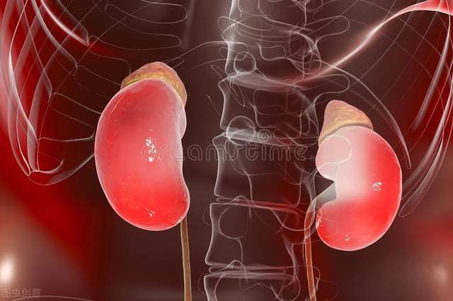 经络穴位理论敷熨|6类药物可能逆转肾功能，采取措施需尽早