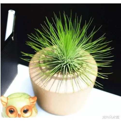 南京|龙吟师傅来给大家说说什么东西不应该放在夫妻的房间里